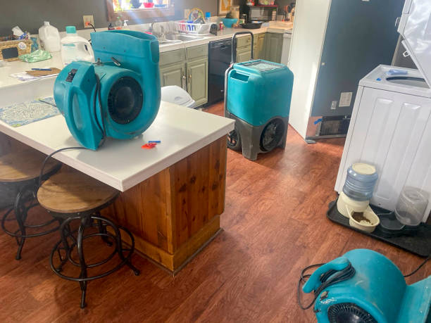 Best Flood damage cleanup  in Riverview, SC