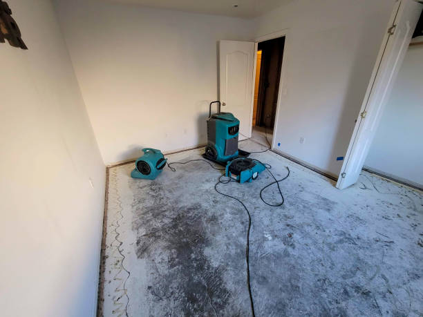 Local water damage restoration in Riverview, SC