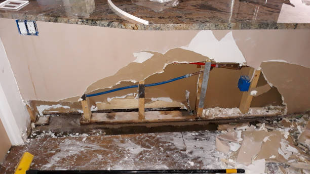 Best Mold removal after water damage  in Riverview, SC
