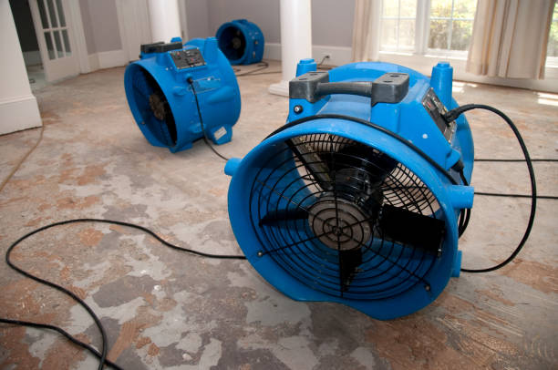 Best Flood restoration services  in Riverview, SC