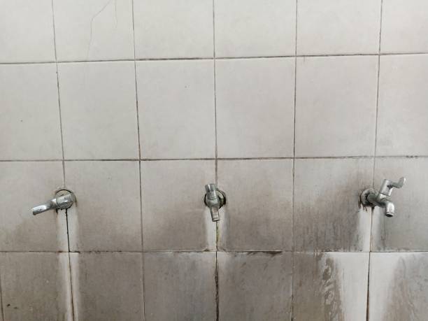 Best Professional water damage repair  in Riverview, SC