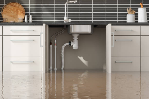 Reliable Riverview, SC Water damage restoration Solutions