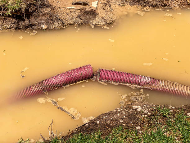 Best Emergency water damage restoration  in Riverview, SC