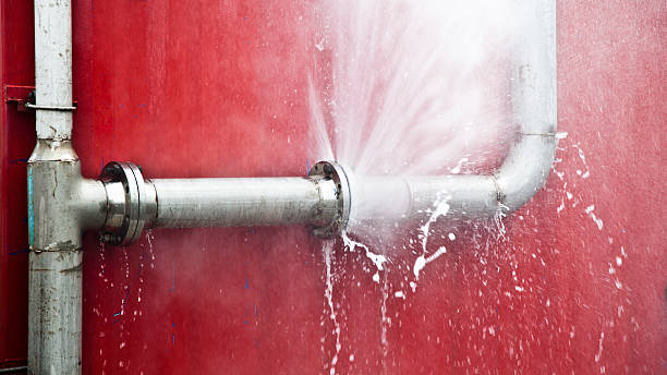 Best Water damage repair service  in Riverview, SC